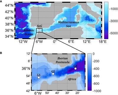 The time series at the Strait of Gibraltar as a baseline for long-term assessment of vulnerability of calcifiers to ocean acidification